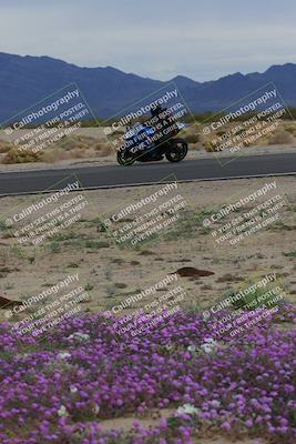 media/Jan-14-2023-SoCal Trackdays (Sat) [[497694156f]]/Turn 14 Exit Bloomig (145pm)/